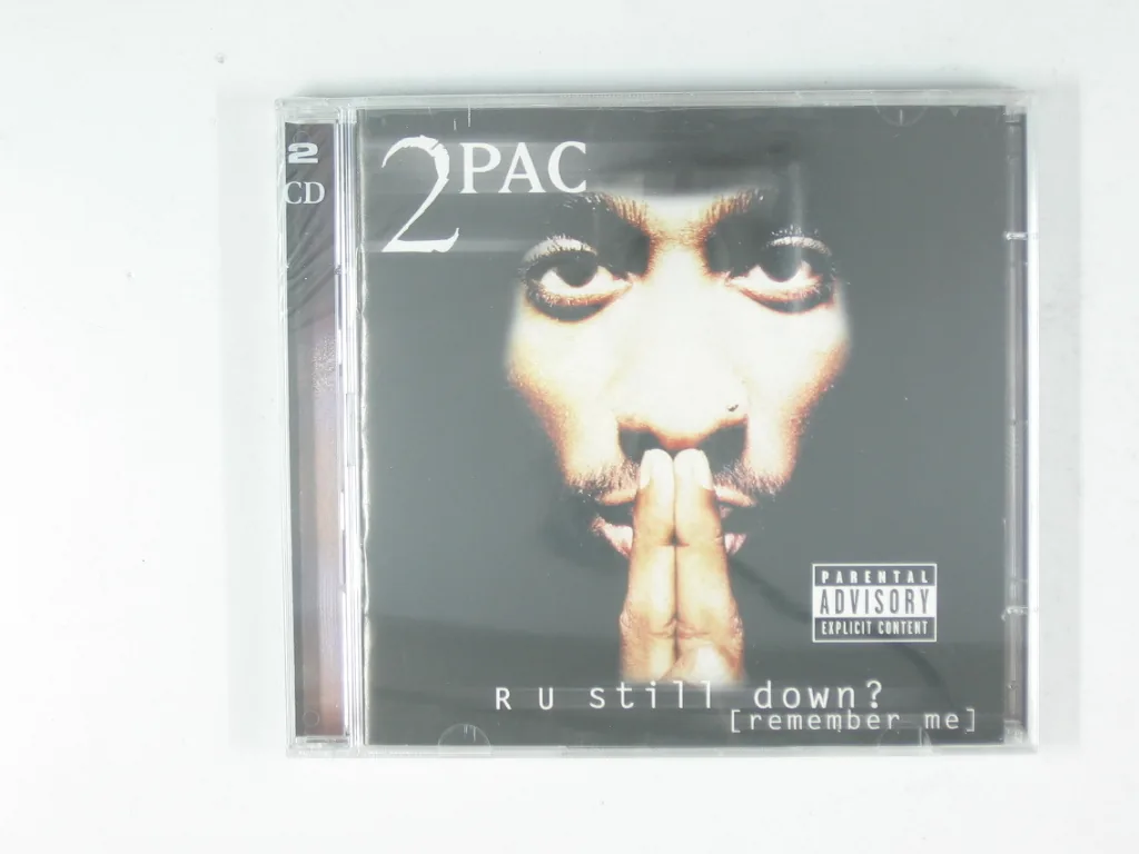 Copertina di R U Still Down?