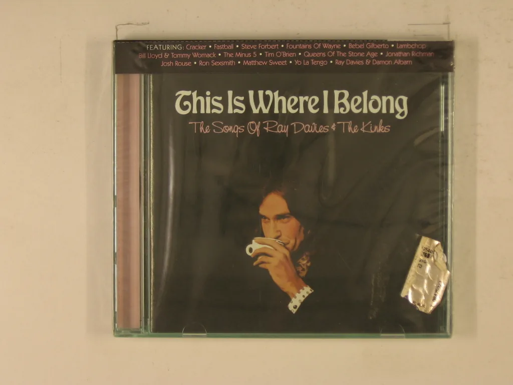 Copertina di This Is Where I Belong (The Songs Of Ray Davies &
