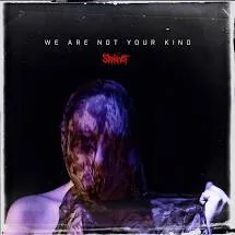 Copertina di We Are Not Your Kind
