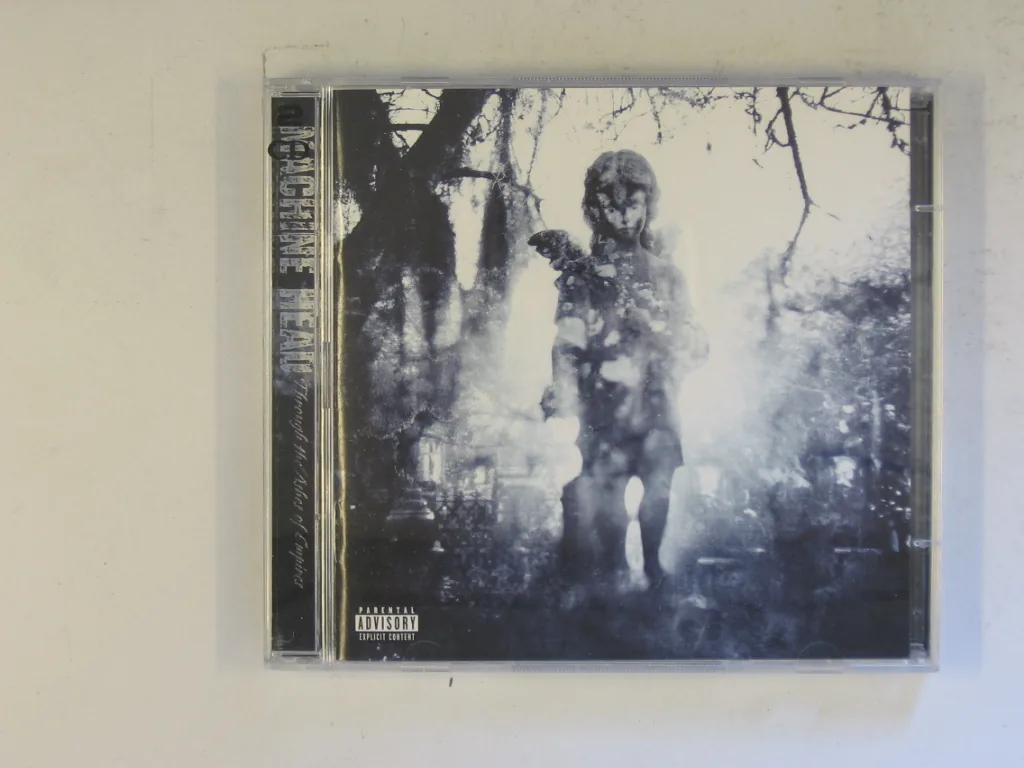 Copertina di Through The Ashes Of Empires