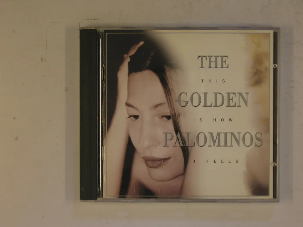 Copertina di This Is How It Feels