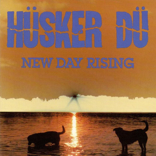 Copertina di New Day Rising