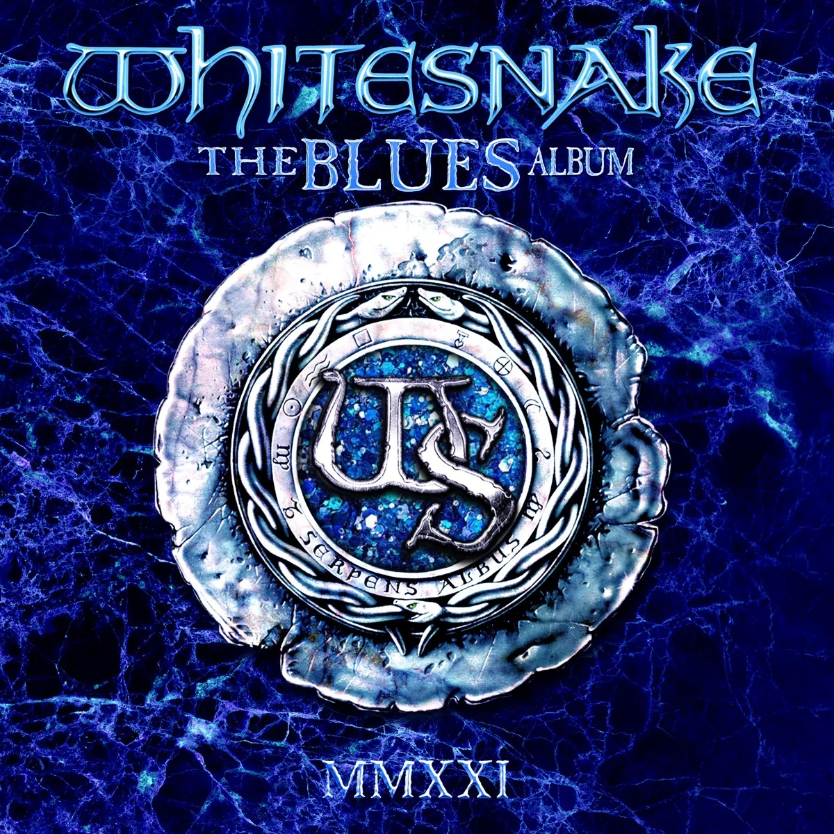 Copertina di The Blues Album