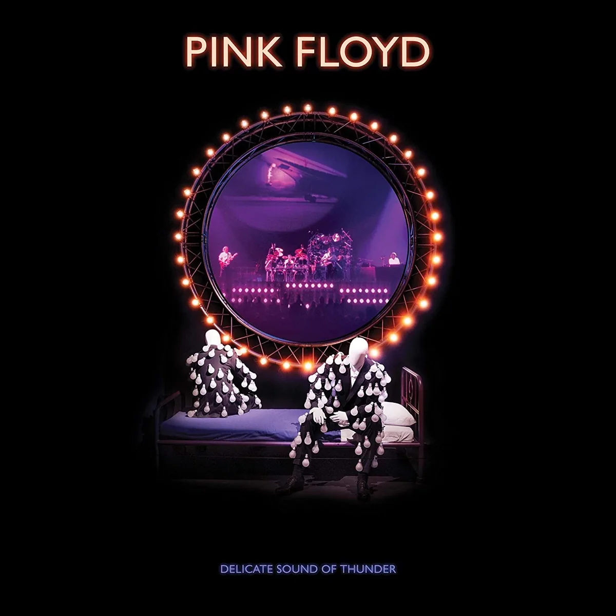 Copertina di Delicate Sound Of Thunder