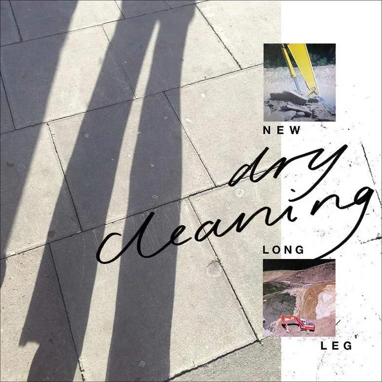 Copertina di New Long Leg