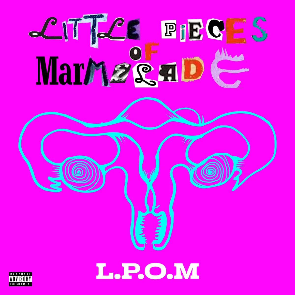 Copertina di L.P.O.M.