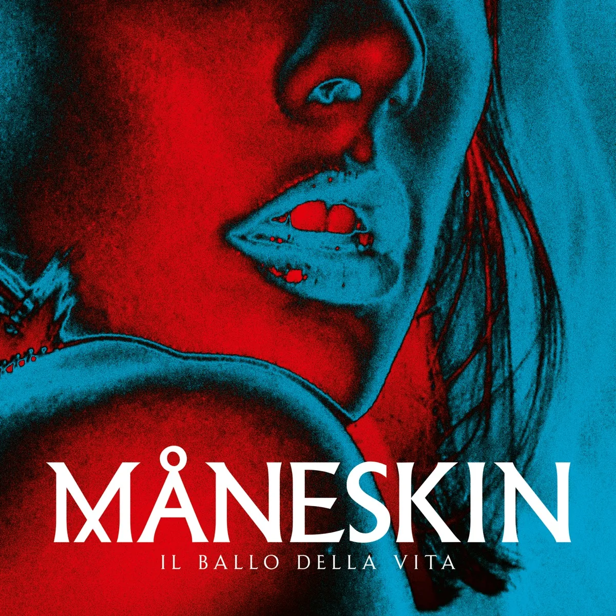 Copertina di Il Ballo Della Vita