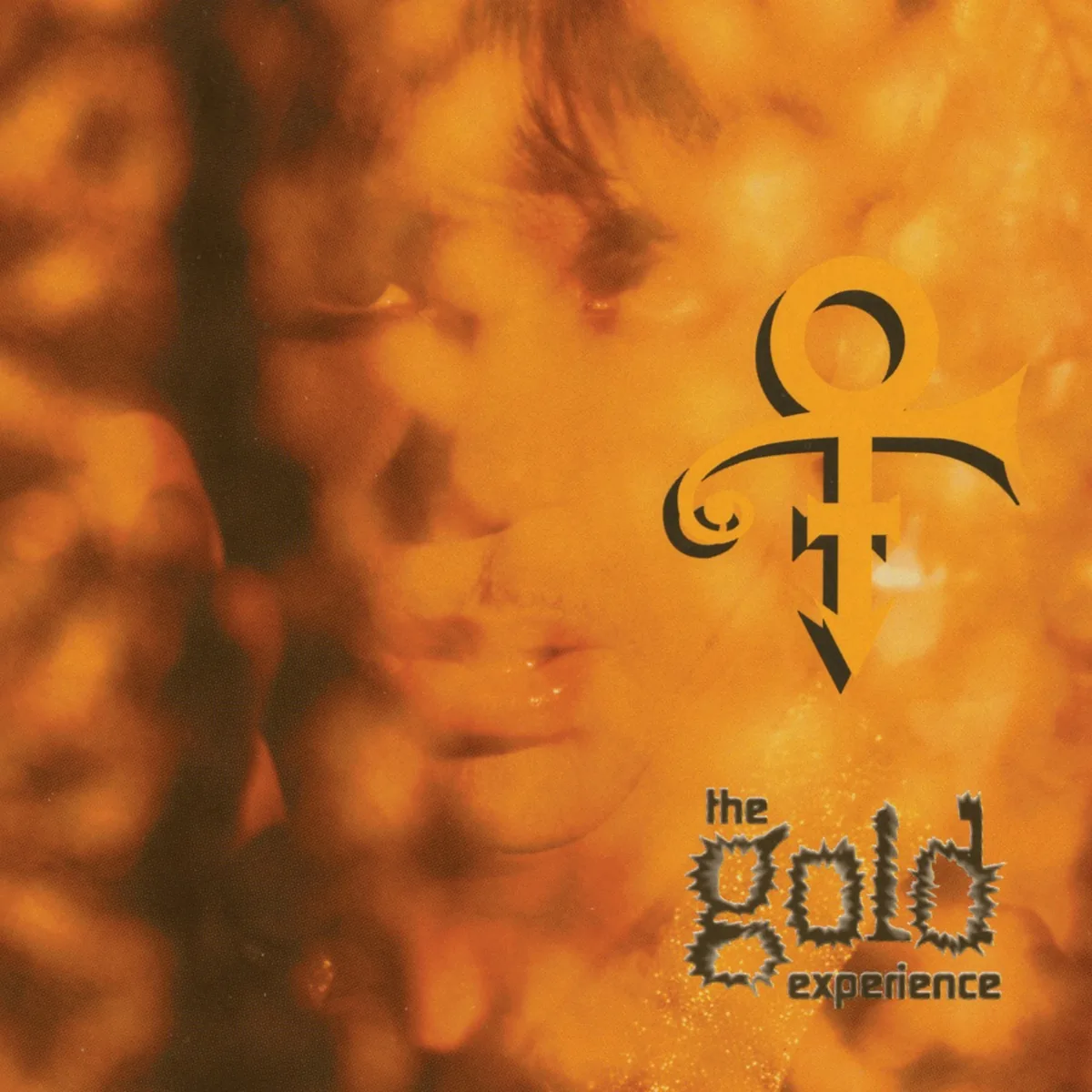 Copertina di The Golden Experience
