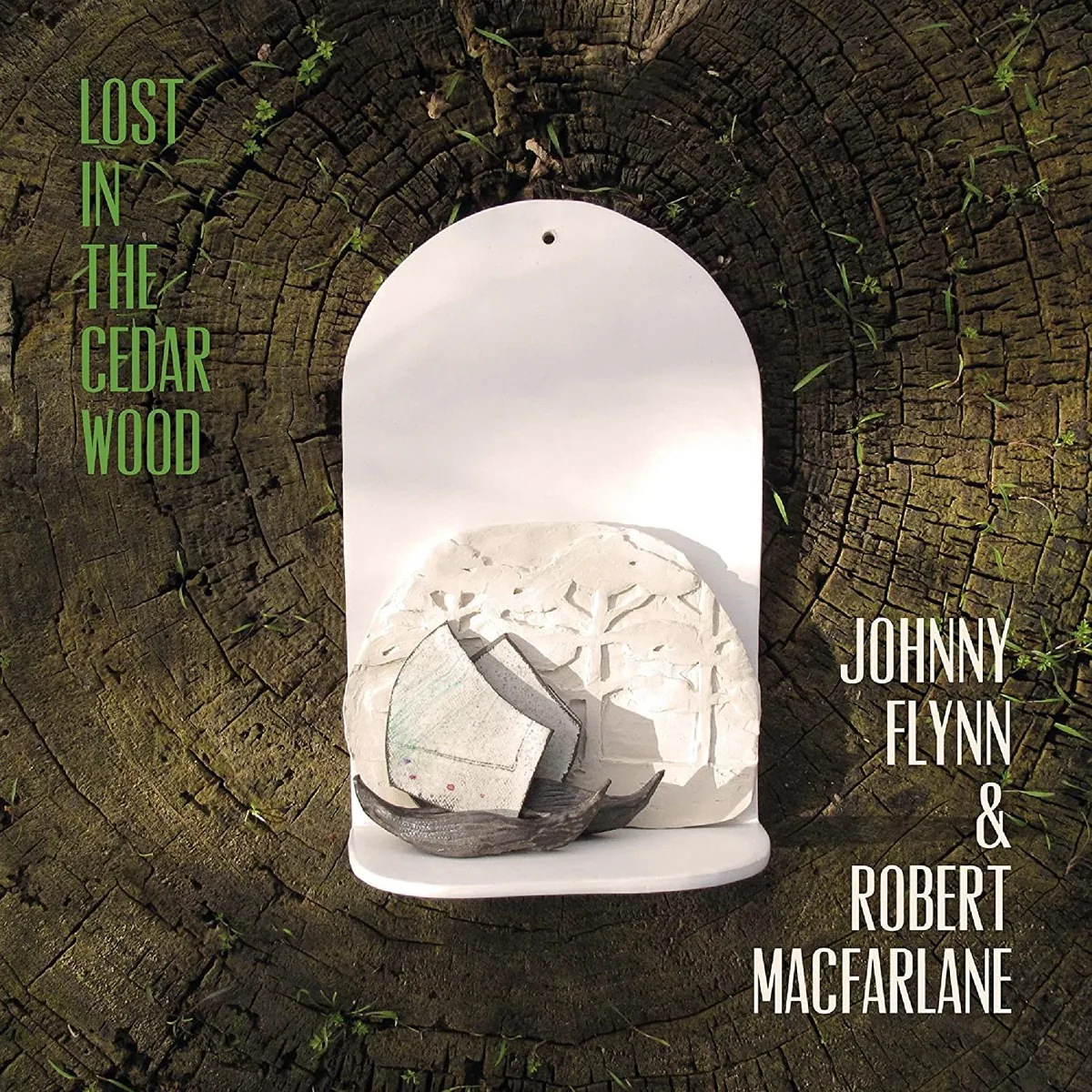 Copertina di Lost In The Cedar Wood