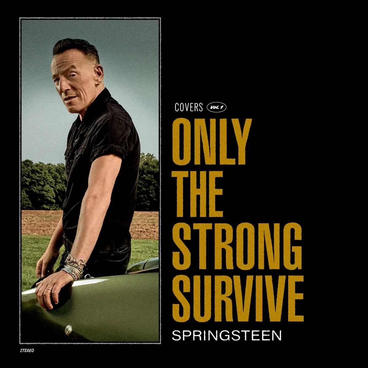 Copertina di Only The Strong Survive