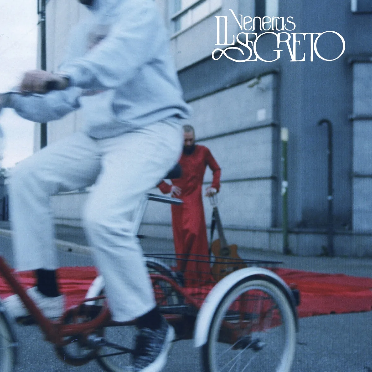 Copertina di Il Segreto
