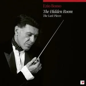 Copertina di The Hidden Room: The Last Pieces