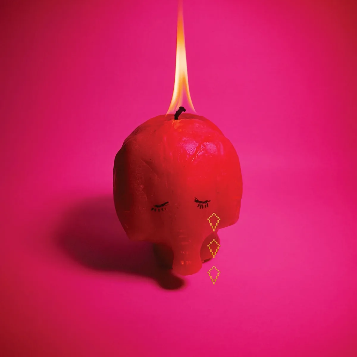 Copertina di Pink Elephant