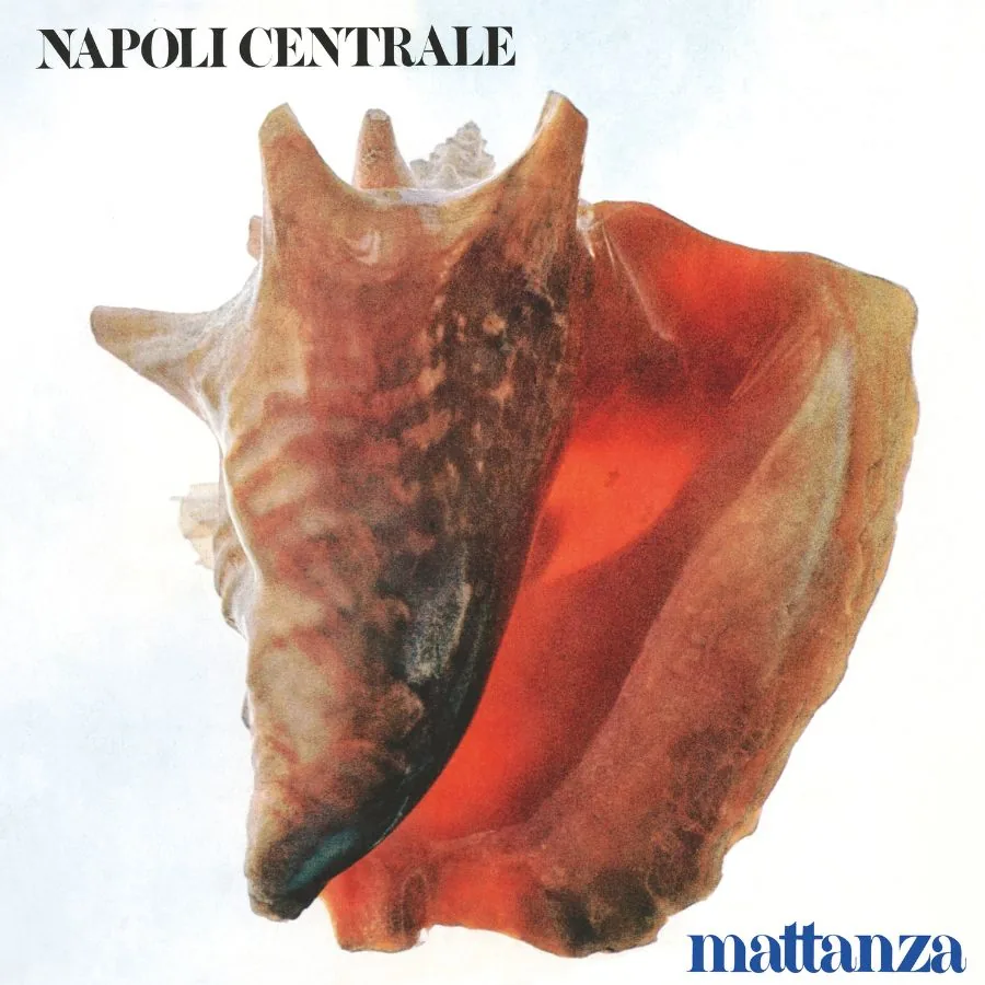 Copertina di Mattanza
