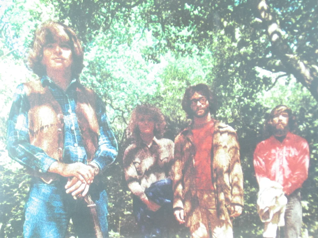 Copertina di Green River