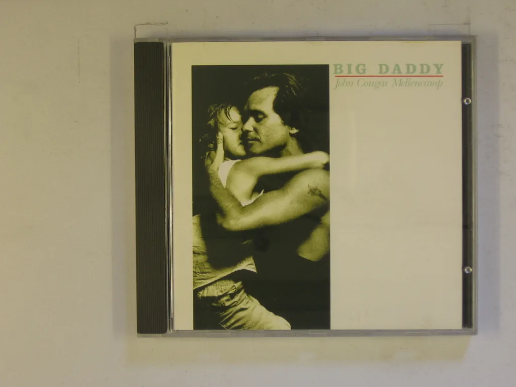 Copertina di Big Daddy