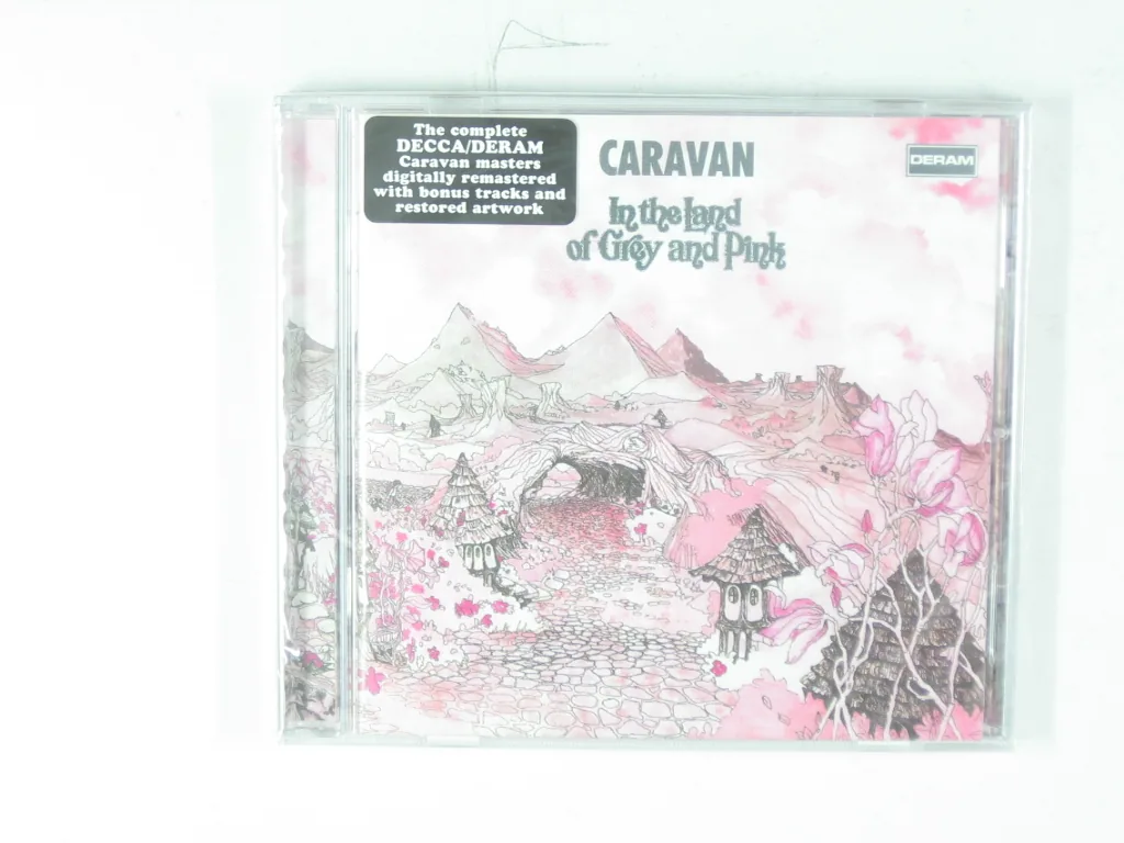 Copertina di In The Land Of Grey And Pink