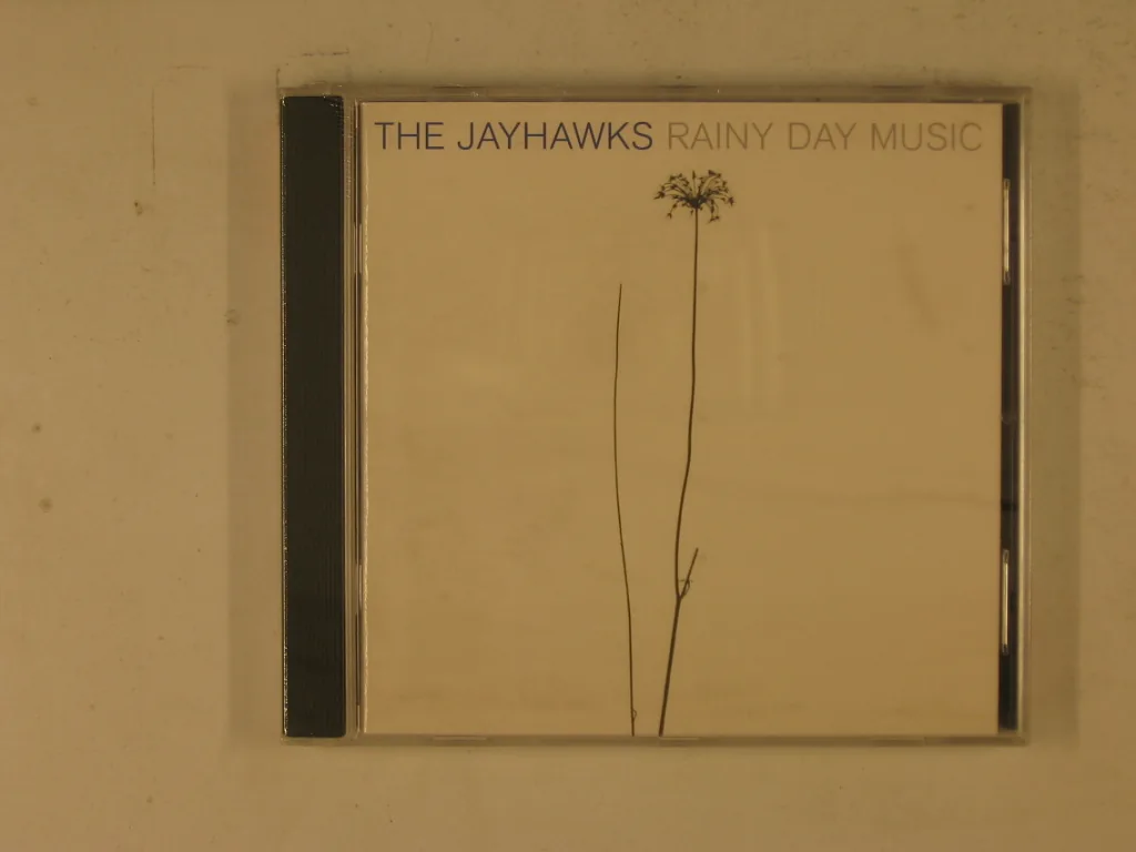 Copertina di Rainy Day Music