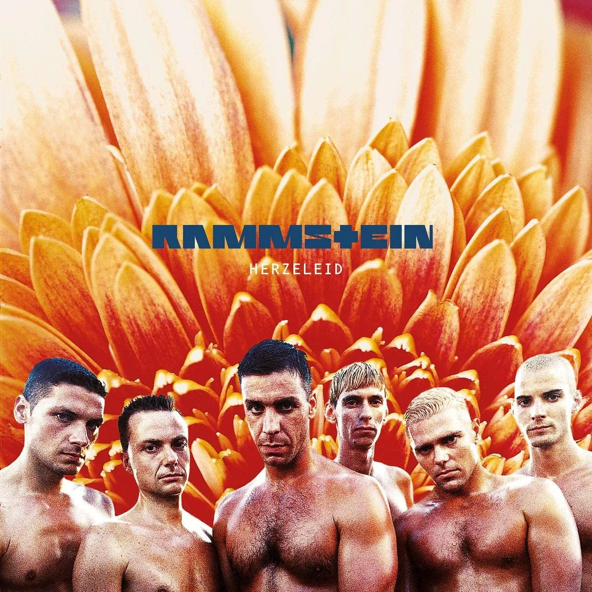 Copertina di Herzeleid