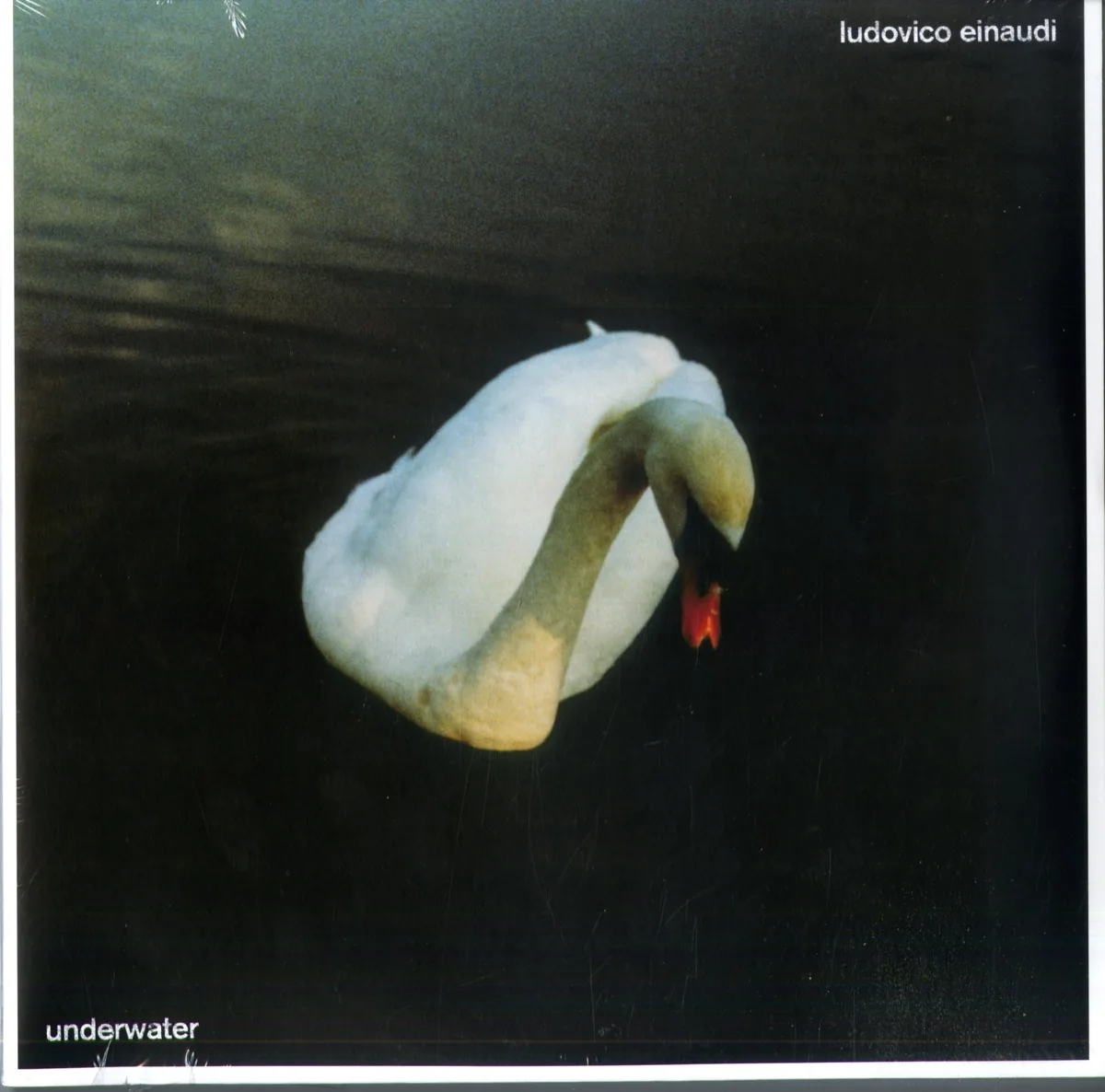 Copertina di Underwater