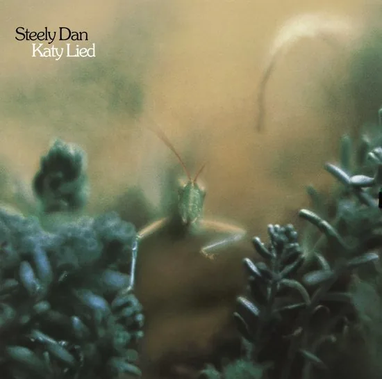 Copertina di Katy Lied