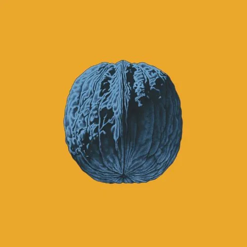 Copertina di L'Albero Delle Noci