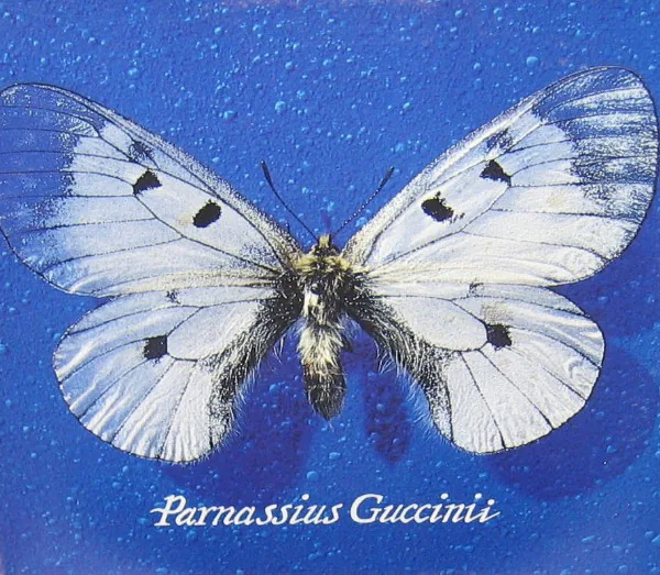 Copertina di Parnassius Guccini