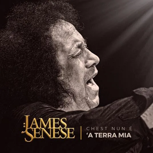 Copertina di Chest Nun È Terra Mia