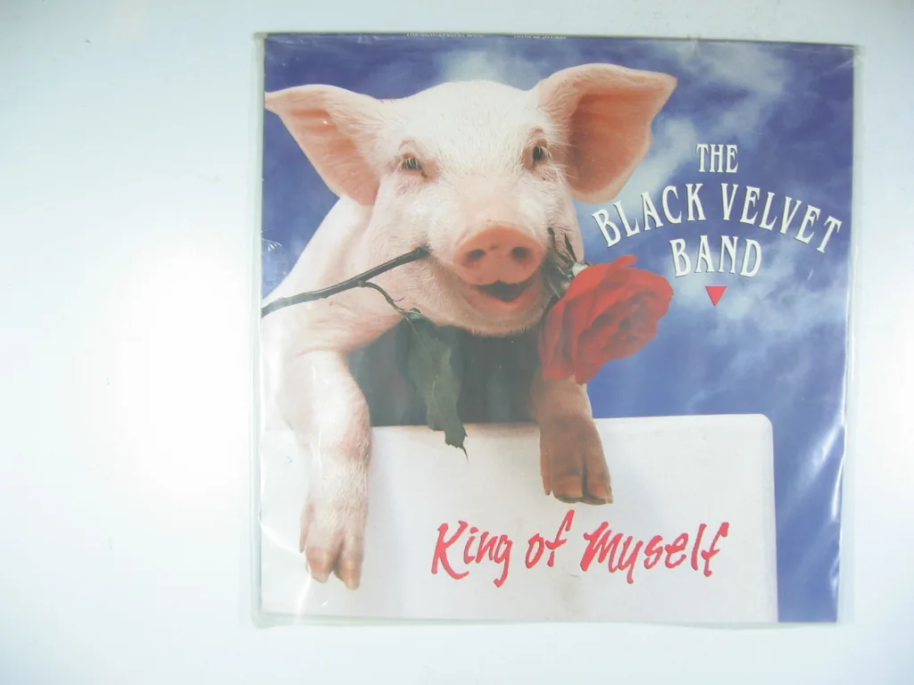 Copertina di King Of Myself