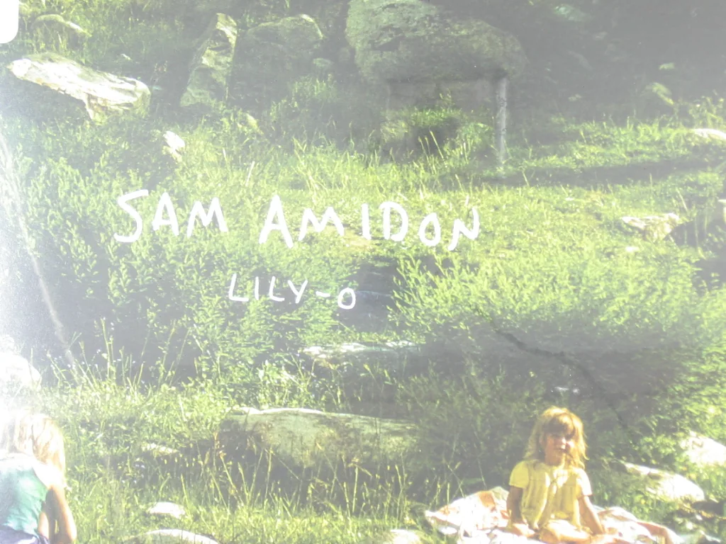 Copertina di Lily-O