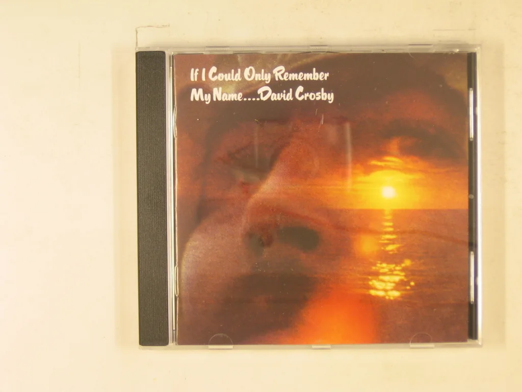 Copertina di If I Could Only Remember My Name