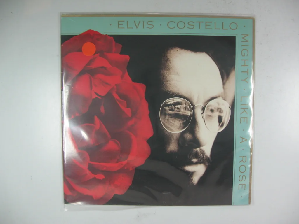 Copertina di Mighty Like A Rose