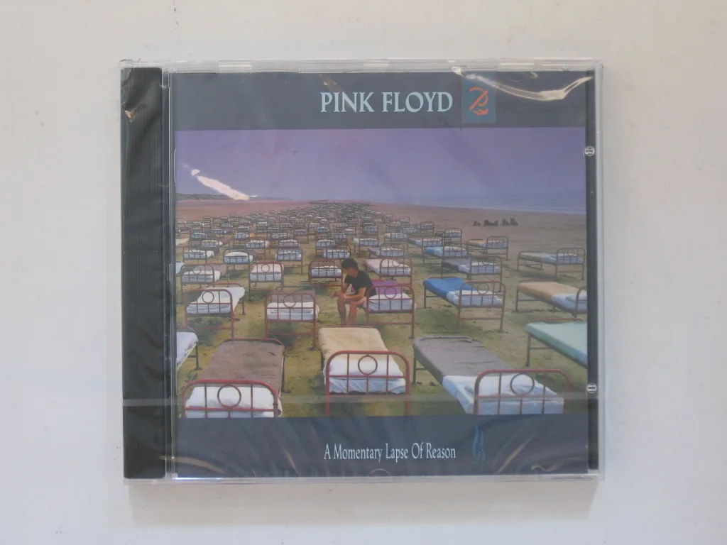 Copertina di A Momentary Lapse Of Reason