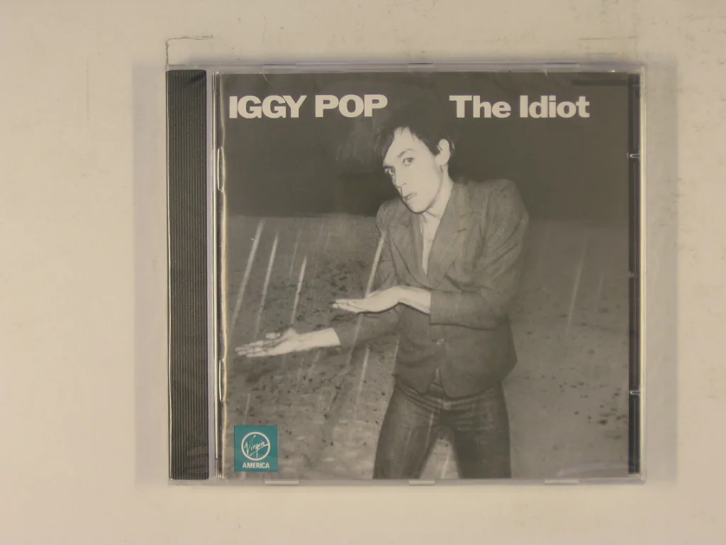 Copertina di The Idiot