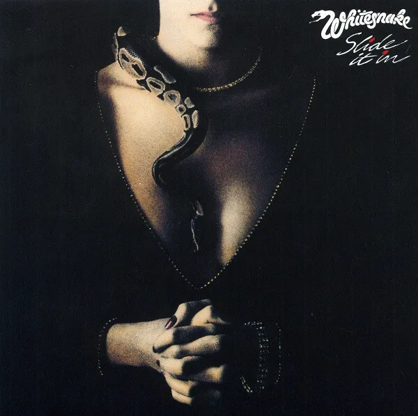 Copertina di Slide It In