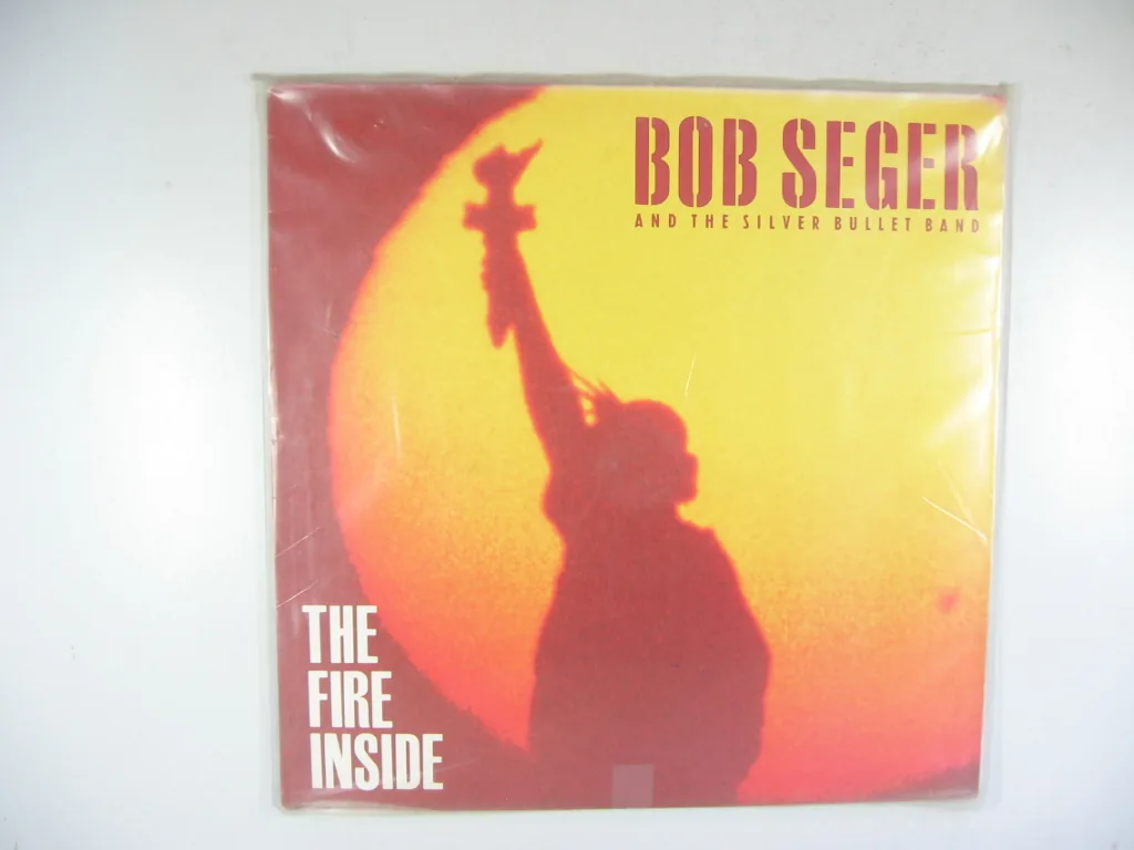 Copertina di The Fire Inside