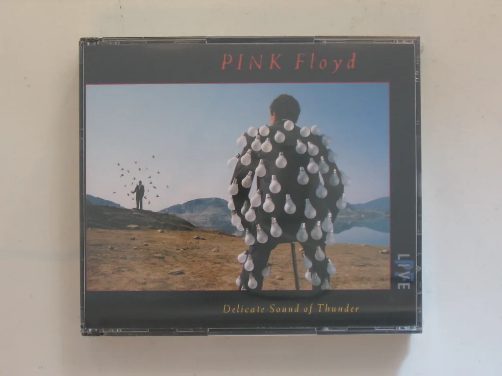 Copertina di Delicate Sound Of Thunder