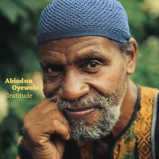 Copertina di Gratitude
