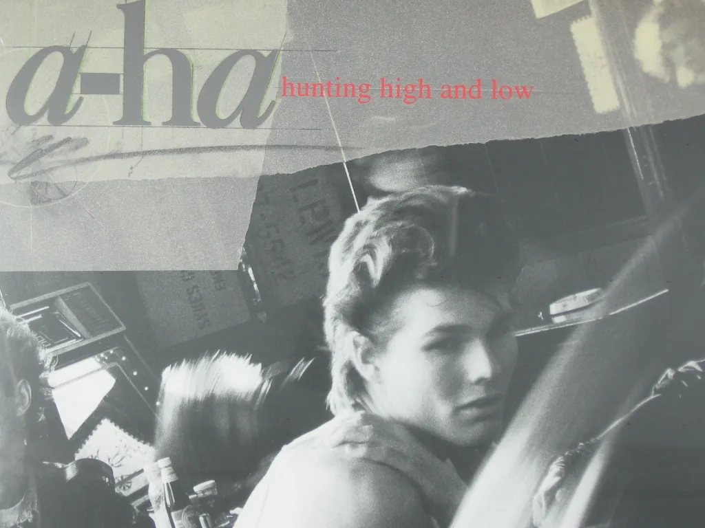 Copertina di Hunting High And Low