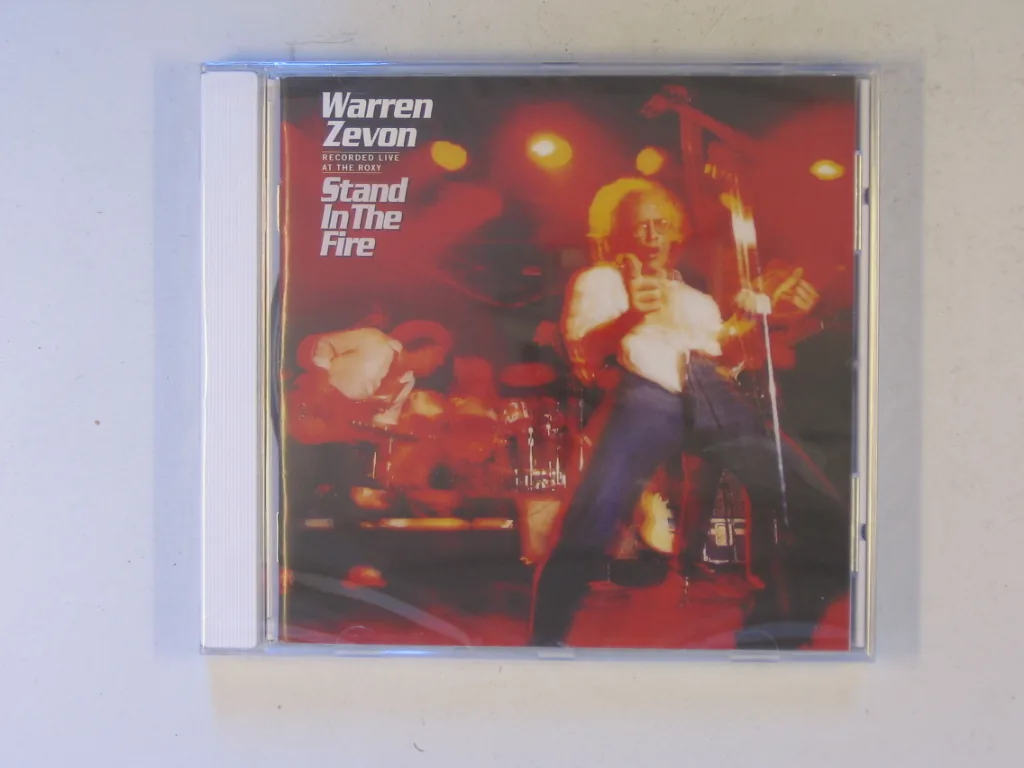Copertina di Stand In The Fire