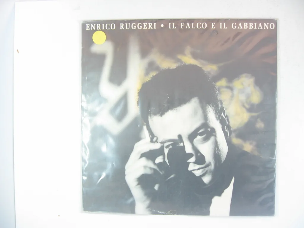 Copertina di Il Falco E Il Gabbiano