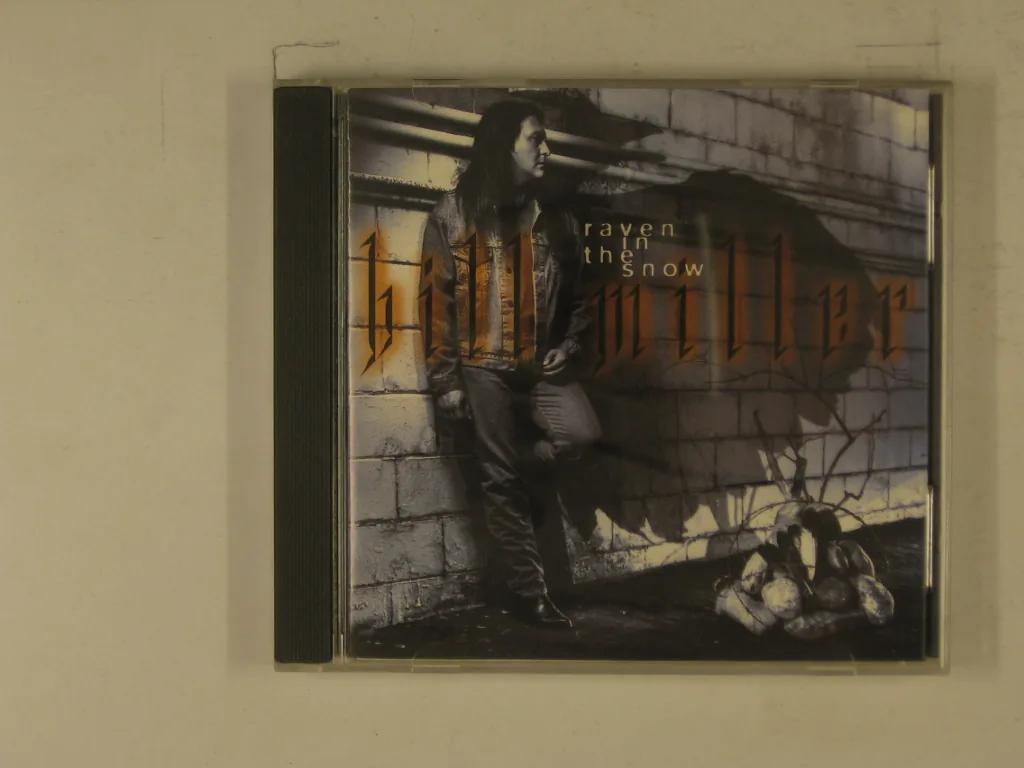 Copertina di Raven In The Snow