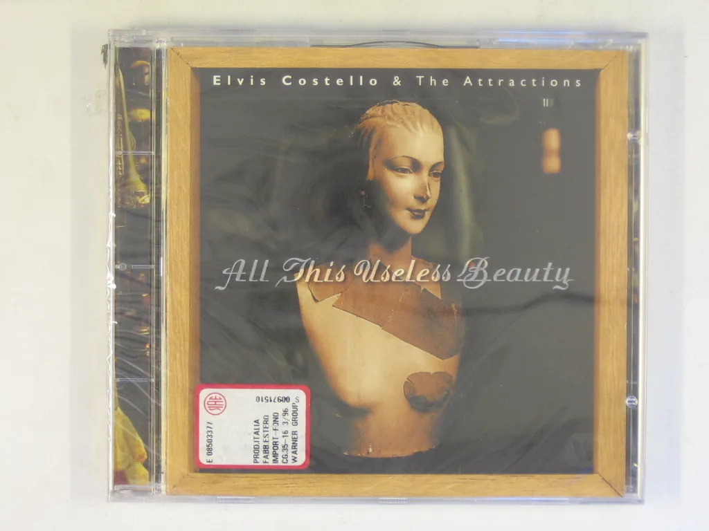 Copertina di All This Useless Beauty