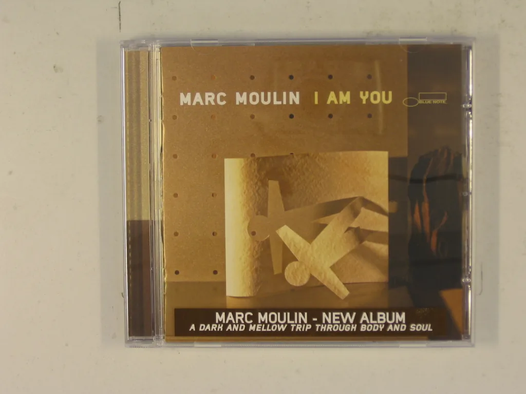 Copertina di I Am You