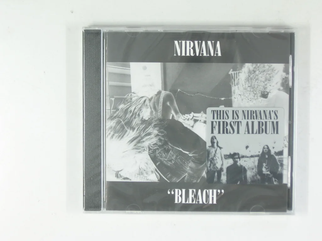 Copertina di Bleach