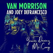 Copertina di You'Re Driving Me Crazy