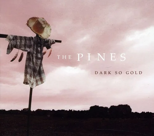 Copertina di Dark So Gold