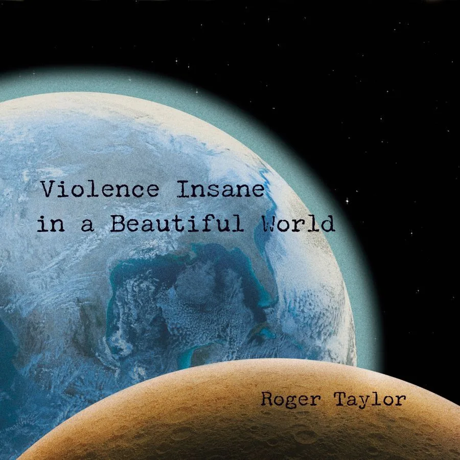 Copertina di Violence Insane In A Beautiful World