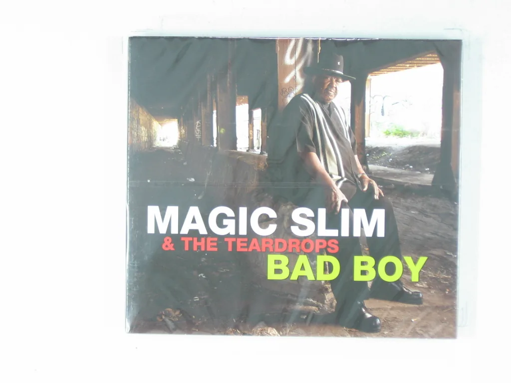 Copertina di Bad Boy