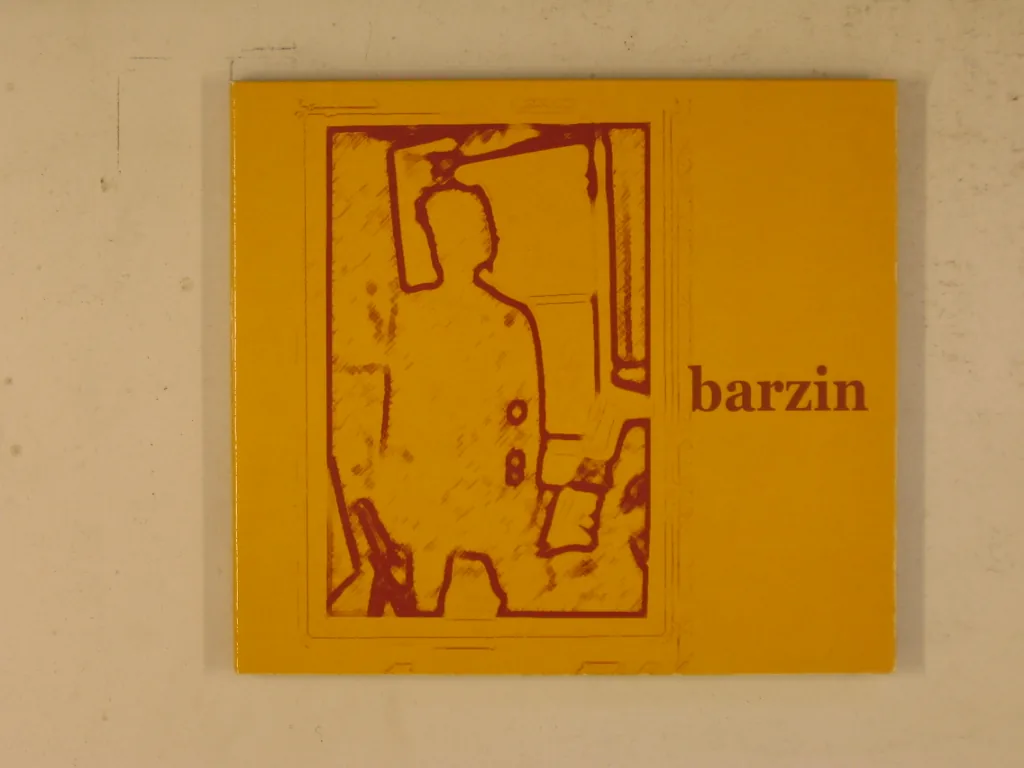 Copertina di Barzin